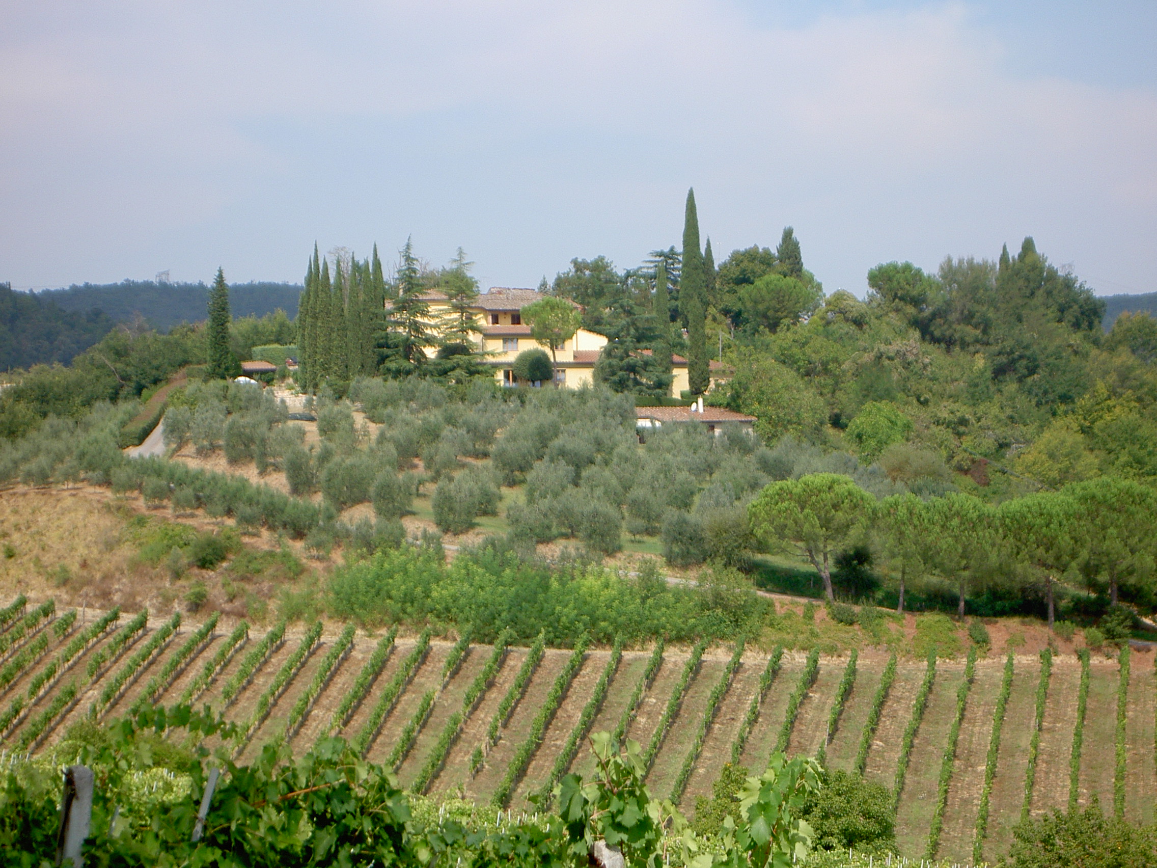 Rampa di Fugnano Poggio agli Ulivi